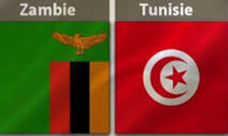 CAN 2015 Zambie 1-2 Tunisie: les "Aigles" de Carthage se relancent 