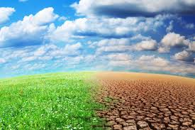 Mise en place de la bouée MELAX pour des observations liées au changement climatique