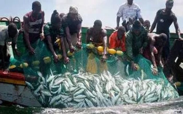 Délivrance de nouvelles autorisations de pêche artisanale : 10 demandes sur 11 refusées