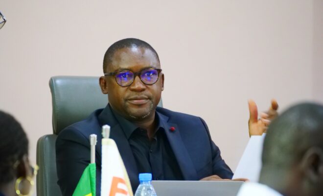 Remaniement et Campagne Électorale 2024: Dans la peau de Macky Sall, un homme d’État en fin de mandat (Par Dr Cheikh Diallo)