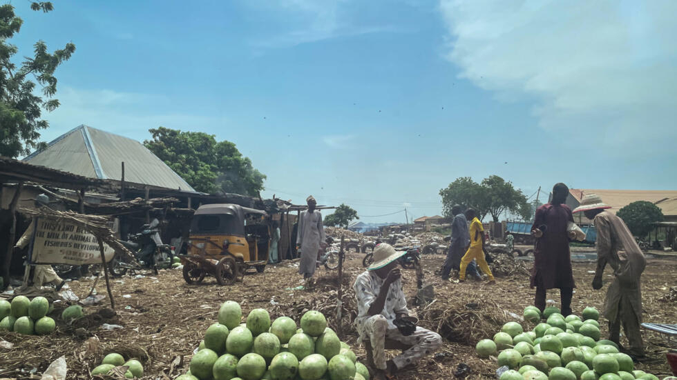 Niger: derrière la frontière fermée, côté Nigeria, convoyeurs et commerçants sont déstabilisés