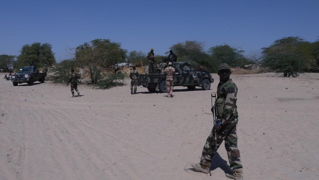 Niger: le village d’Abadam bombardé par un avion non identifié
