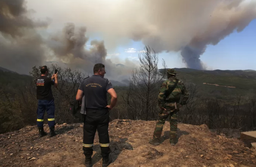 L’incendie dans le parc national grec de Dadia toujours “hors de contrôle”