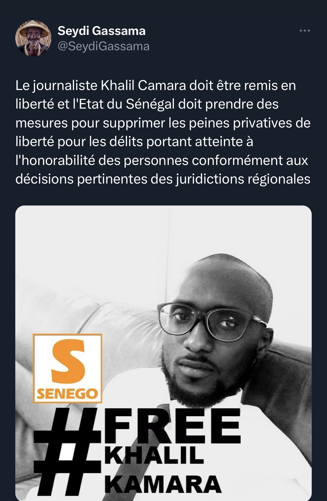 Arrestation de Khalil Kamara : Seydi Gassama demande la suppression « des peines privatives de liberté pour les délits portant atteinte à l’honorabilité »
