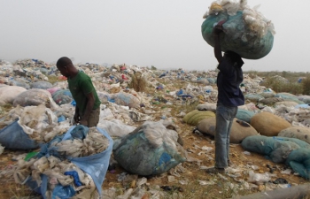 La collecte des objets plastiques à la décharge d'Akouédo, au Nord-est d'Abidjan, "un business" pour des fouilleurs