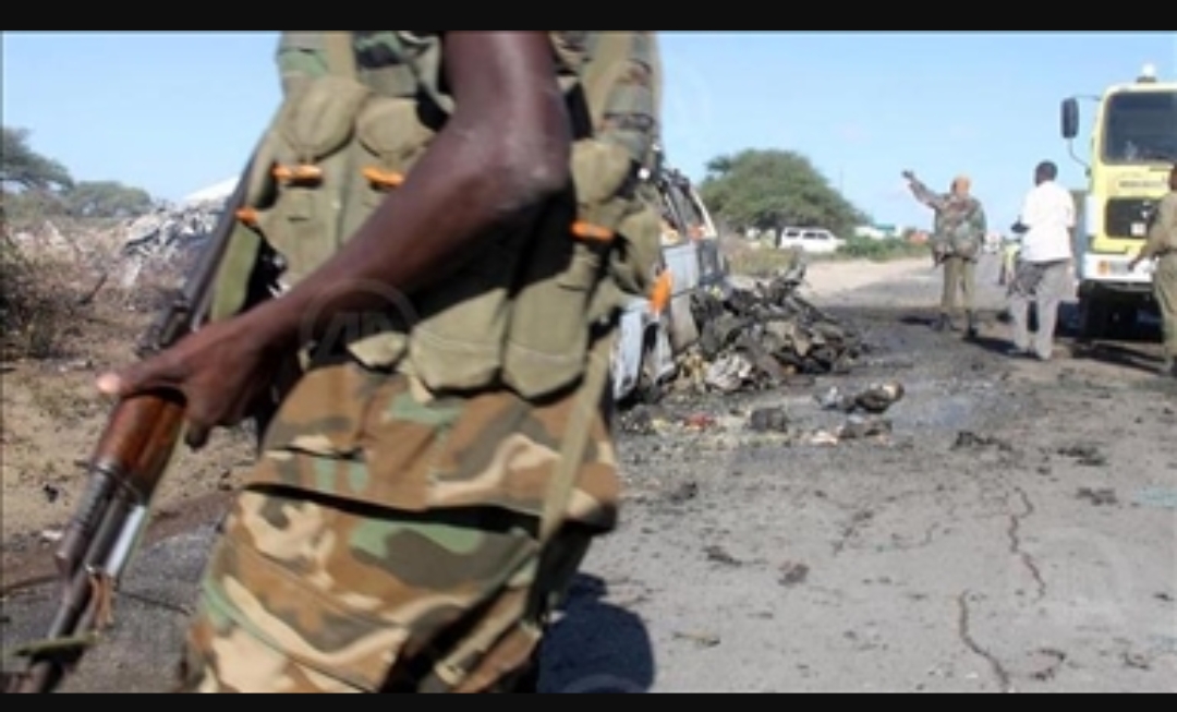 Somalie: au moins 13 morts et 20 blessés dans une attaque terroriste dans le centre du pays (police)