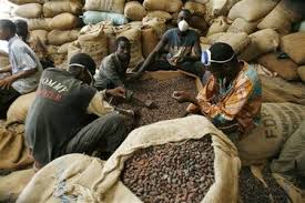 Cacao : Le taux de transformation des fèves est de 30% en Côte d'Ivoire (ministre)