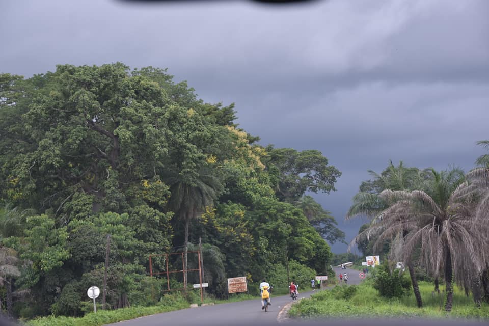 La Casamance, un paradis vert qui s'enlise dans la pauvreté (Par Nicolas Silandibithe Bassène)