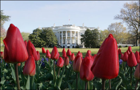 La fleuriste de la Maison Blanche virée pour un style "trop français" ?