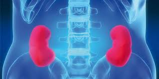 Dakar: 19.000 personnes souffrent d'insuffisance rénale