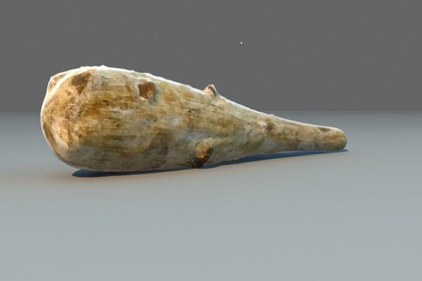 Kolda : Un mari tue sa femme avec un gourdin