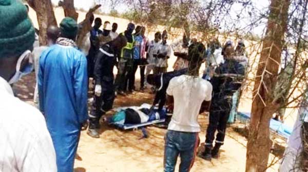 Violente altercation entre agriculteurs et bergers à Bidiyatt : un paysan perd la vie dans l'affrontement