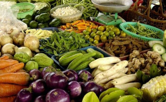 Discours à la Nation : L’autosuffisance alimentaire, vecteur de l’indépendance économique