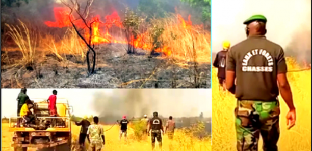 Violent incendie de brousse à Matam: des hectares de tapis herbacé emportés