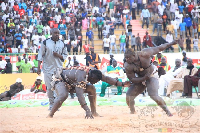 «Nous tiendrons pour principaux responsables Alioune Sarr et son équipe si… », (Tout va mal)