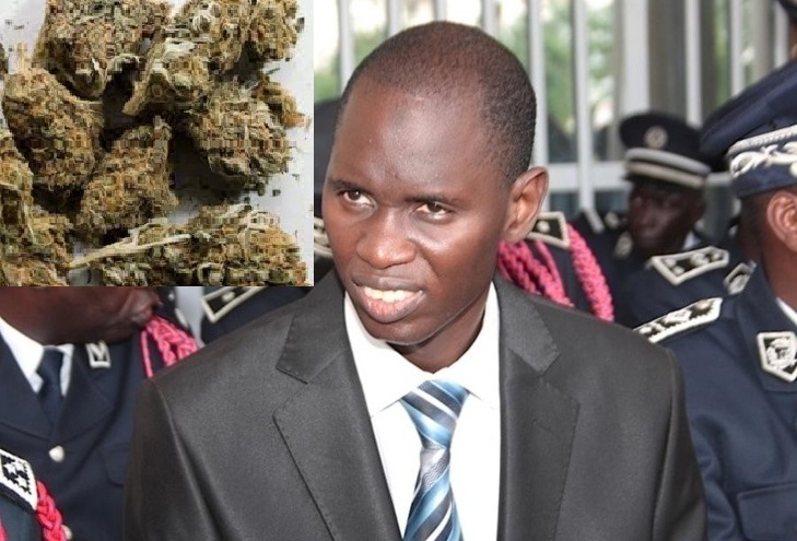 Mame Seydou Ndour, Directeur Ocrtis