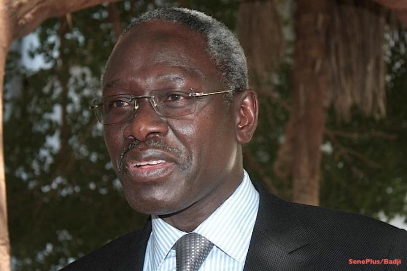 Habib Sy : « Je me battrai de toutes mes forces avec le Pastef pour que Sonko soit candidat »