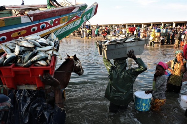 Journée mondiale de la pêche: Greenpeace décrète un « Novembre noir » en hommage aux pêcheurs disparus en mer cette année 