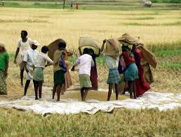 1400 tracteurs sur le marché pour une véritable révolution agricole au Sénégal (président Sall)