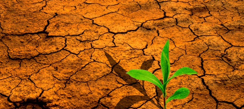 Effets des changements climatiques au Sénégal: plus de 8 500 ha de terre dégradés à restaurer