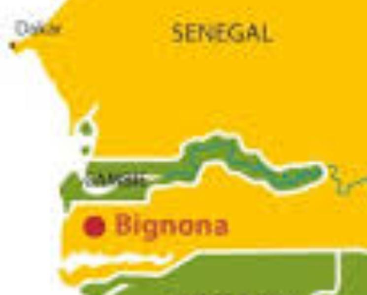 Fusillade à Mahmouda Chérif – Bignona: sept blessés dont trois graves – des chérifs s’entre-tuent