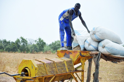 Vélingara: la commercialisation de l’arachide ainsi que la collecte au point mort