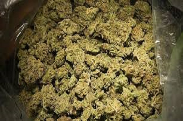 Trafic de drogue : Amar Sow tombe avec 74 kg de chanvre