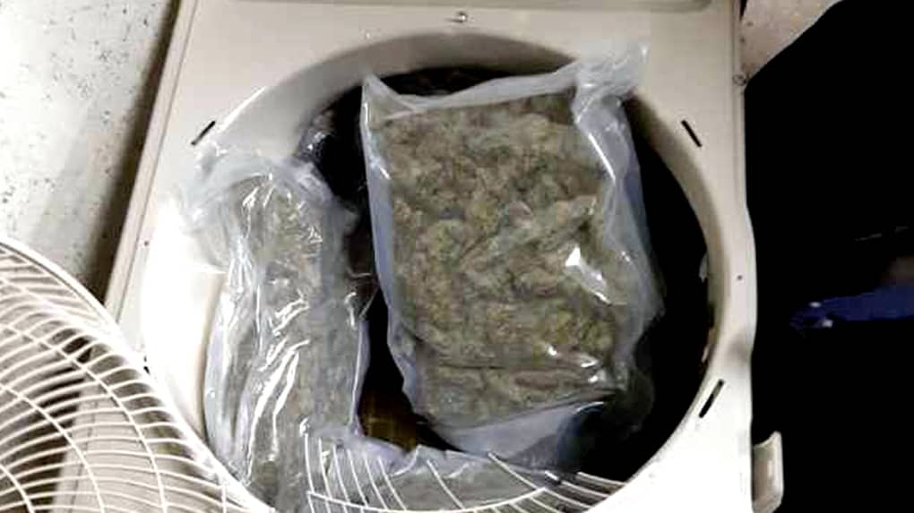 Démantèlement d'un Gang à Kolda : la police saisie 2kg de drogue et arrête trois (3) personnes dont artiste chanteur