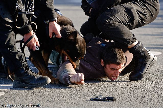 Italie: un Marocain soupçonné d'avoir participé à l'attentat de Tunis arrêté