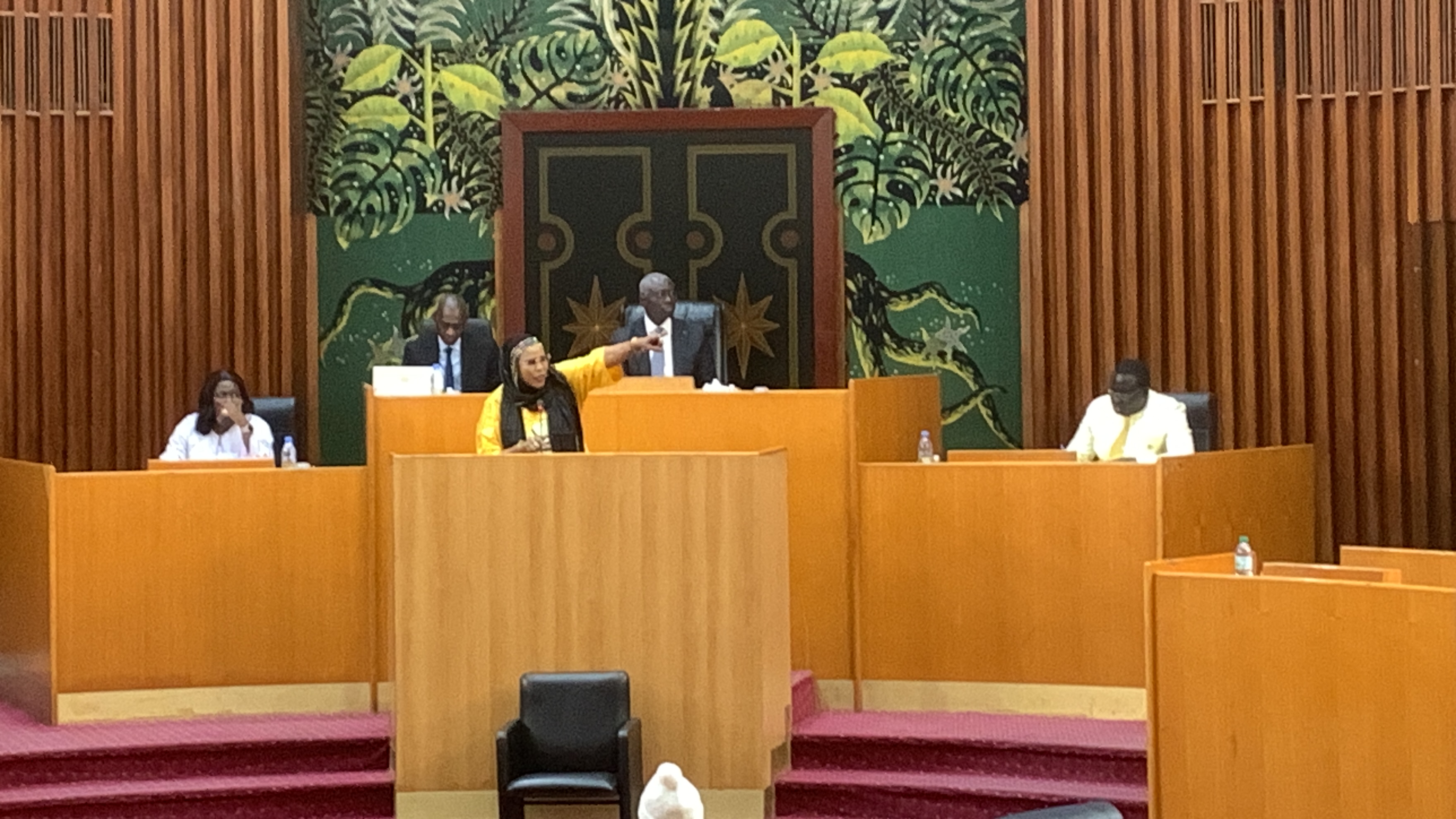 Assemblée nationale : « il n’y aura pas d’élection présidentielle au Sénégal sans la présence de Karim Wade », Mame Diarra Fam