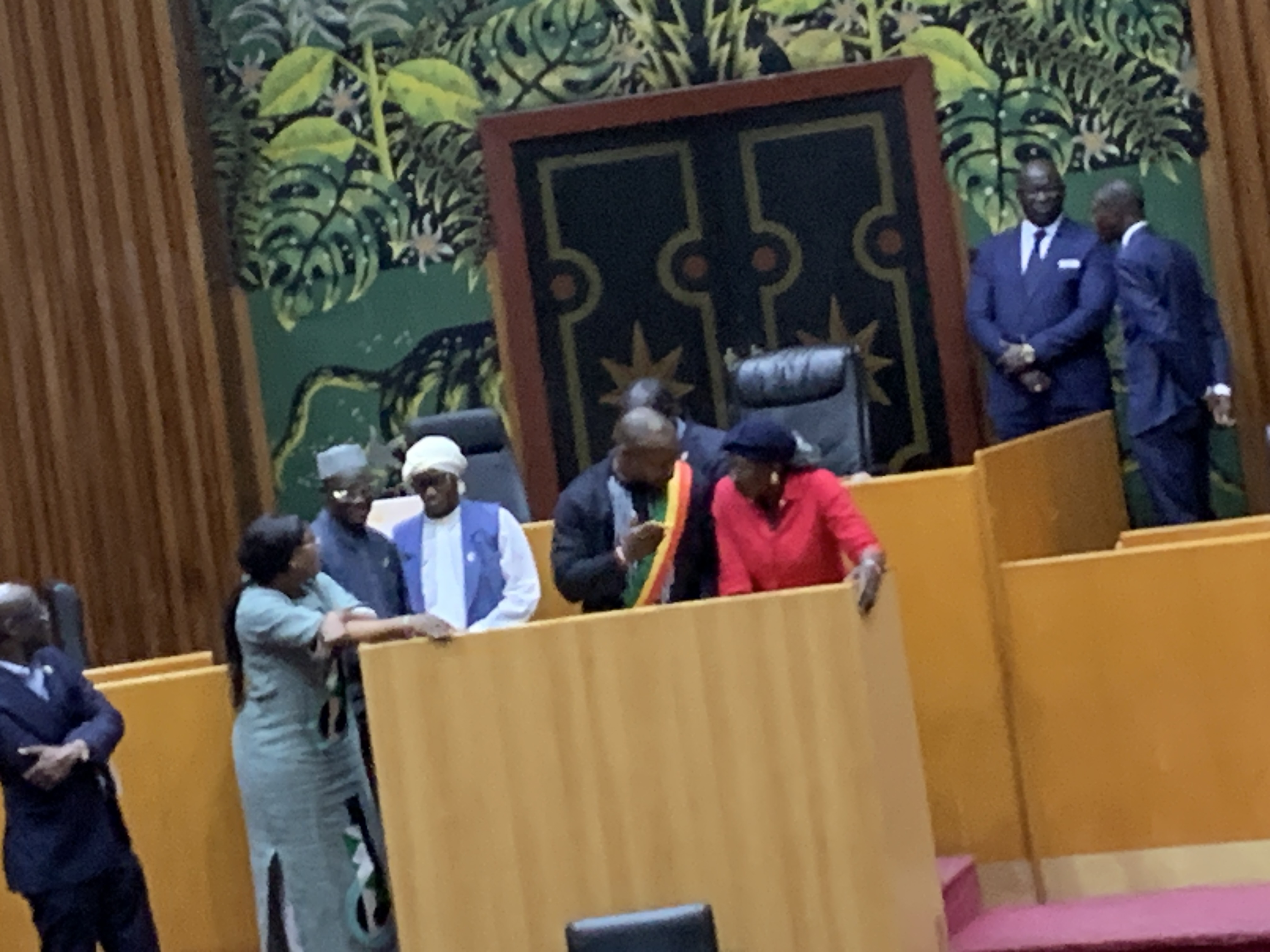 Assemblée nationale : Guy Marius Sagna bloque les travaux et crie « que l’armée vienne »