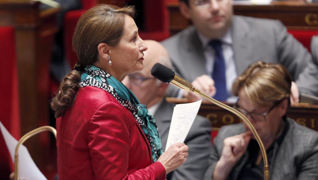 La ministre de l'Ecologie Ségolène Royal à l'Assemblée nationale française. AFP PHOTO / FRANCOIS GUILLOT