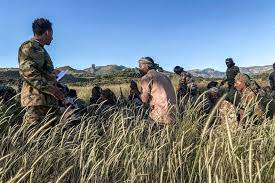 Éthiopie: «Au moins 45 civils» exécutés par les forces de sécurité le 29 janvier, selon une institution publique locale