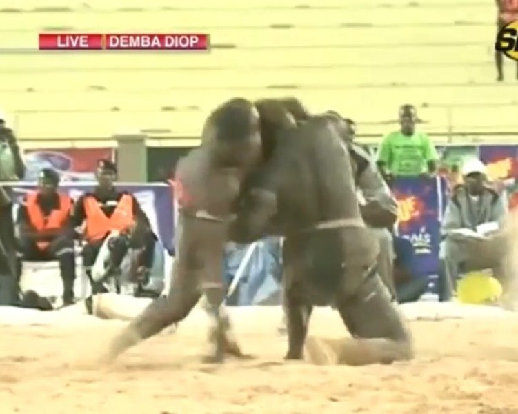 Lutte: Sa Thiès et Lac Rose subissent un contrôle anti-dopage