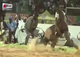 Lutte: Siteu bat Zarco