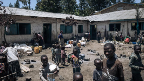 Devant le Conseil de sécurité, la cheffe de la Monusco tire la sonnette d'alarme sur la situation dans l'est de la RDC