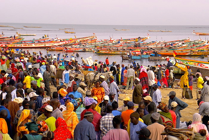 Permis de pêche, monnaie locale : ces projets du Président Bassirou Diomaye Faye vus par un économiste