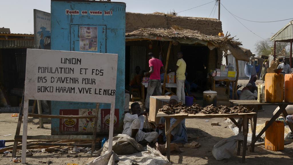 Les deux villages attaqués par Boko Haram sont situés dans la région de Diffa, non loin de la frontière avec le Nigeria. AFP PHOTO / ISSOUF SANOGO