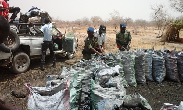 Matam : Boul faalé, produits pharmaceutiques, 4,750 tonnes de charbon,  saisi par la gendarmerie