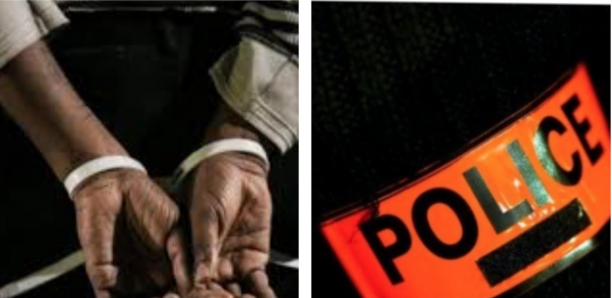 Podor : quatre (4) bergers arrêtés pour le meurtre de leur collègue