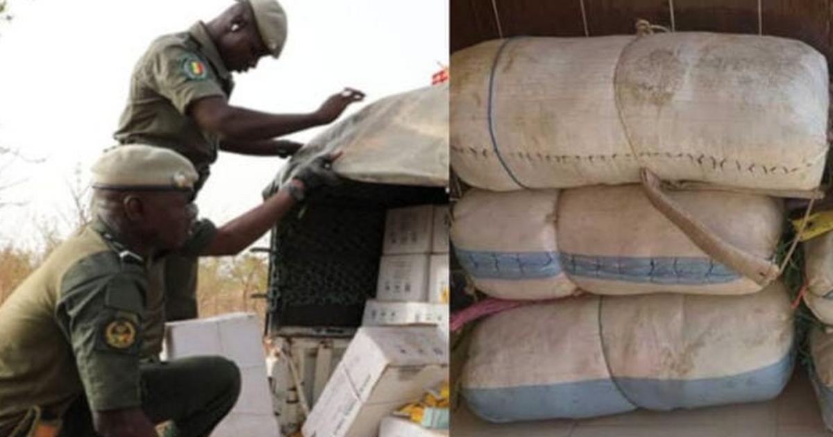 1 137,6 kg de cocaïne saisis à Kidira : le convoyeur toujours en fuite
