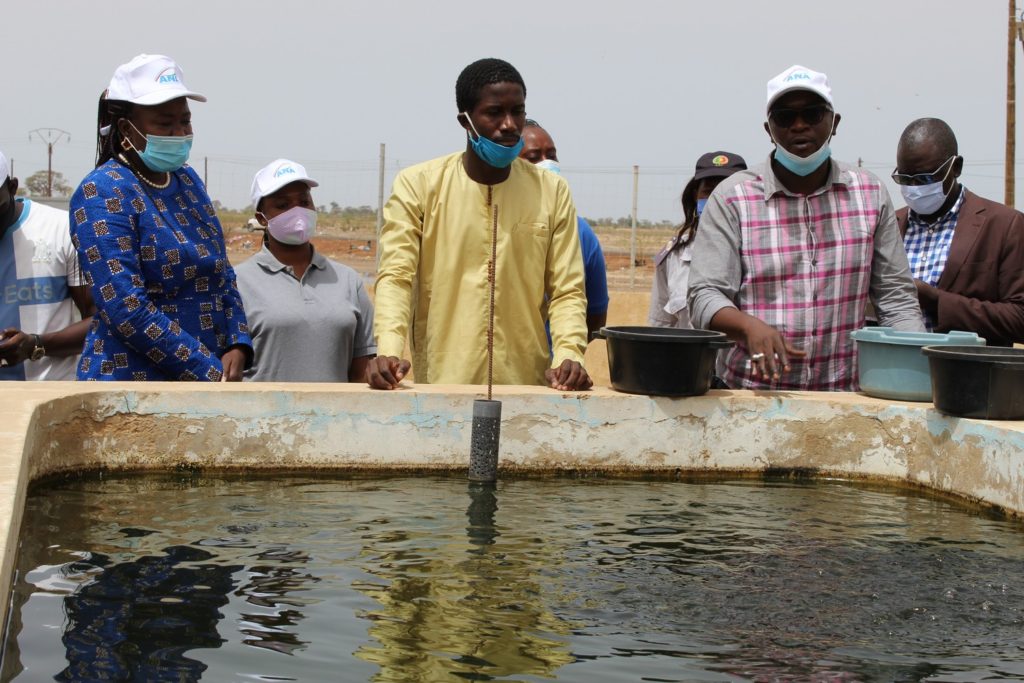 Création de nouvelle composante de l'aquaculture : plus de 5000 emplois attendus dans 7 régions (autorités)