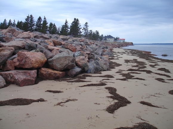 Érosion côtière du littéral Sud : les experts pointent du doigt le changement climatique 