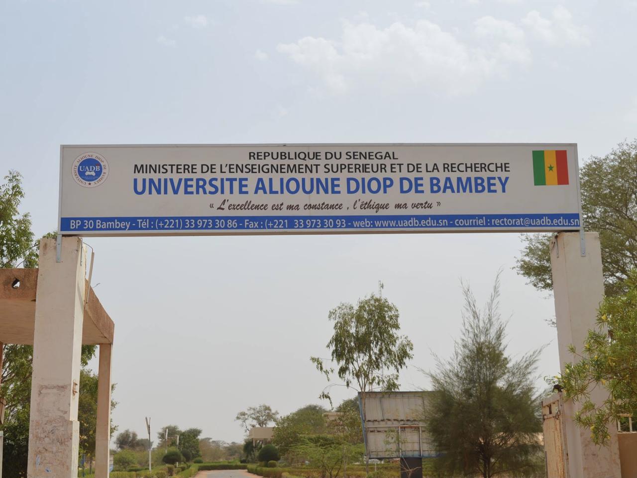 Escroquerie à Bambey : un étudiant arnaque ses camarades á hauteur de 29 millions de FCFA