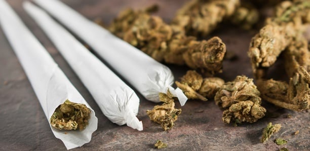 En prison, un détenu sur quatre fume quotidiennement du cannabis