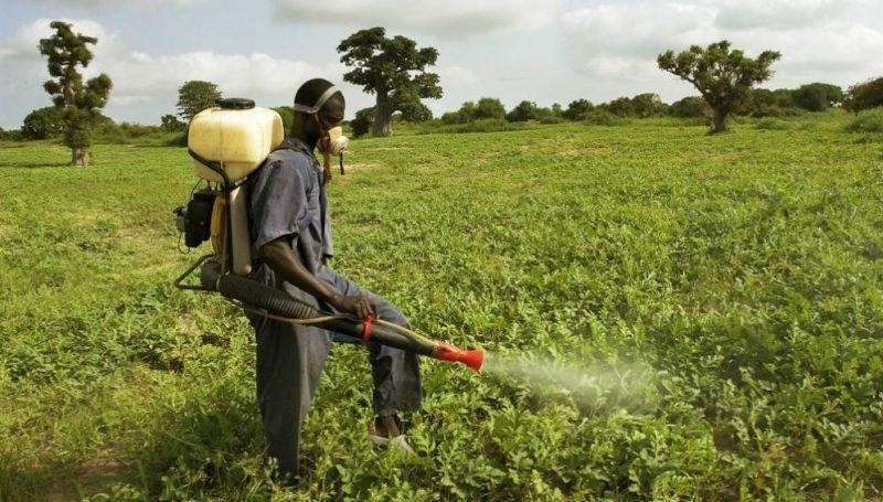 Environnement: L’agriculture sénégalaise utilise près de 5.000 tonnes de pesticides par an, selon un expert