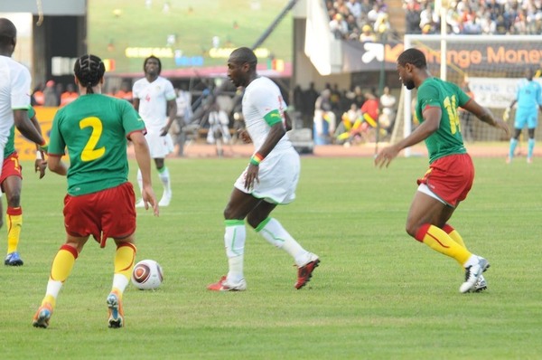 Match amical : Le Cameroun et l'Algérie sollicitent les "Lions" avant la Namibie
