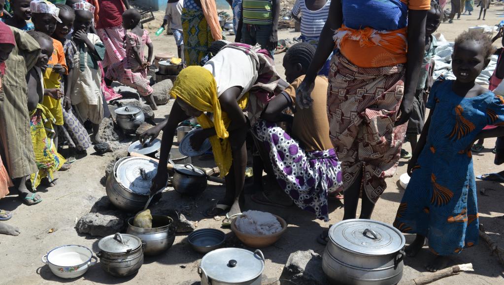 Après les attentats qui ont frappé les villes de Fotokol et Maroua, dans la région de l'Extrême-Nord au Cameroun, les autorités ont procédé à des expulsions massives de Nigérians en situation irrégulière. Environ 2 000 ont été conduits dans l'Etat de l'Adamawa, au Nigeria. Une zone qui ne subit pas les exactions du groupe Etat islamique en Afrique de l'Ouest (Boko Haram).