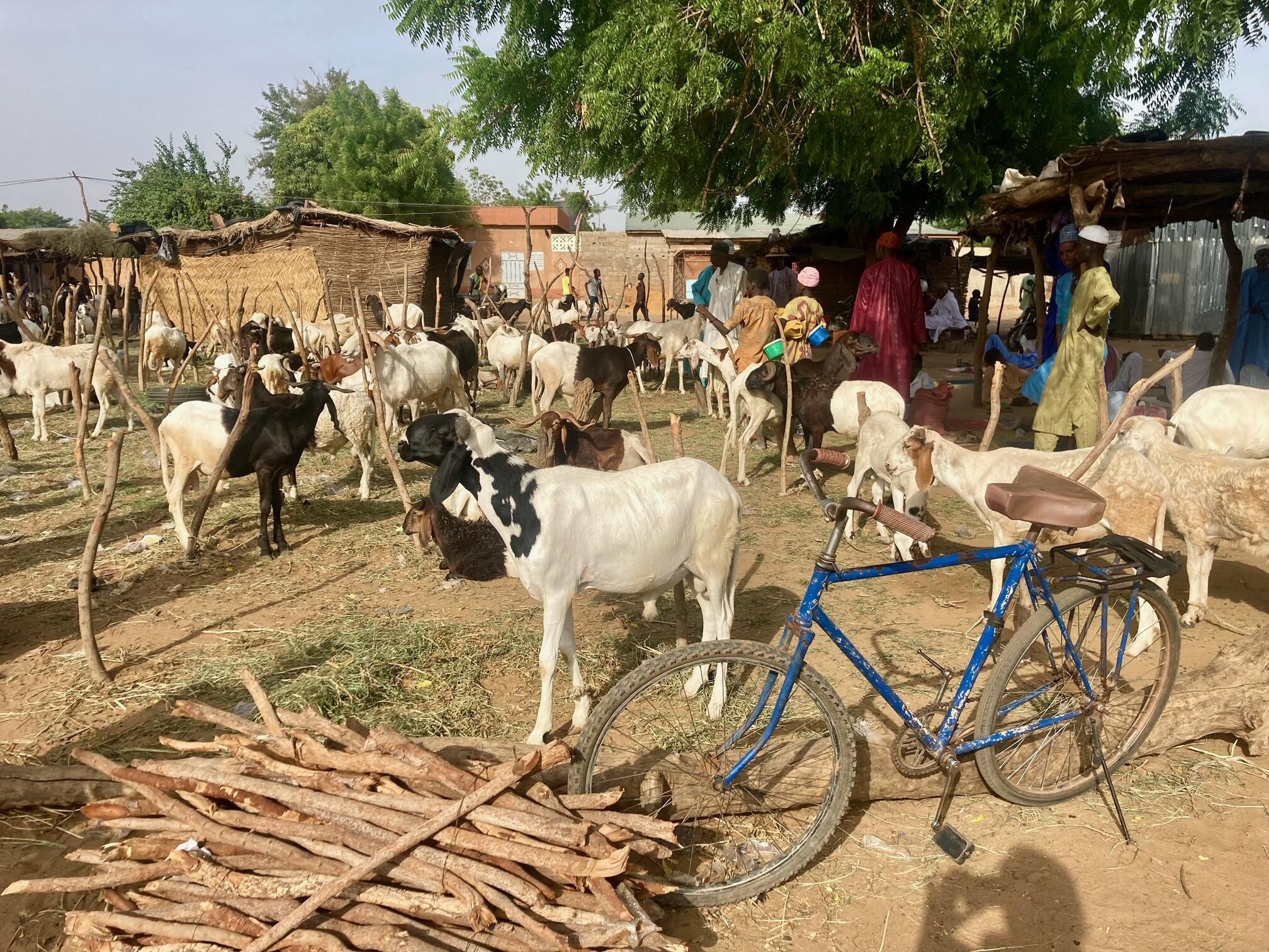 En Afrique, une Tabaski entre vie chère et grands préparatifs