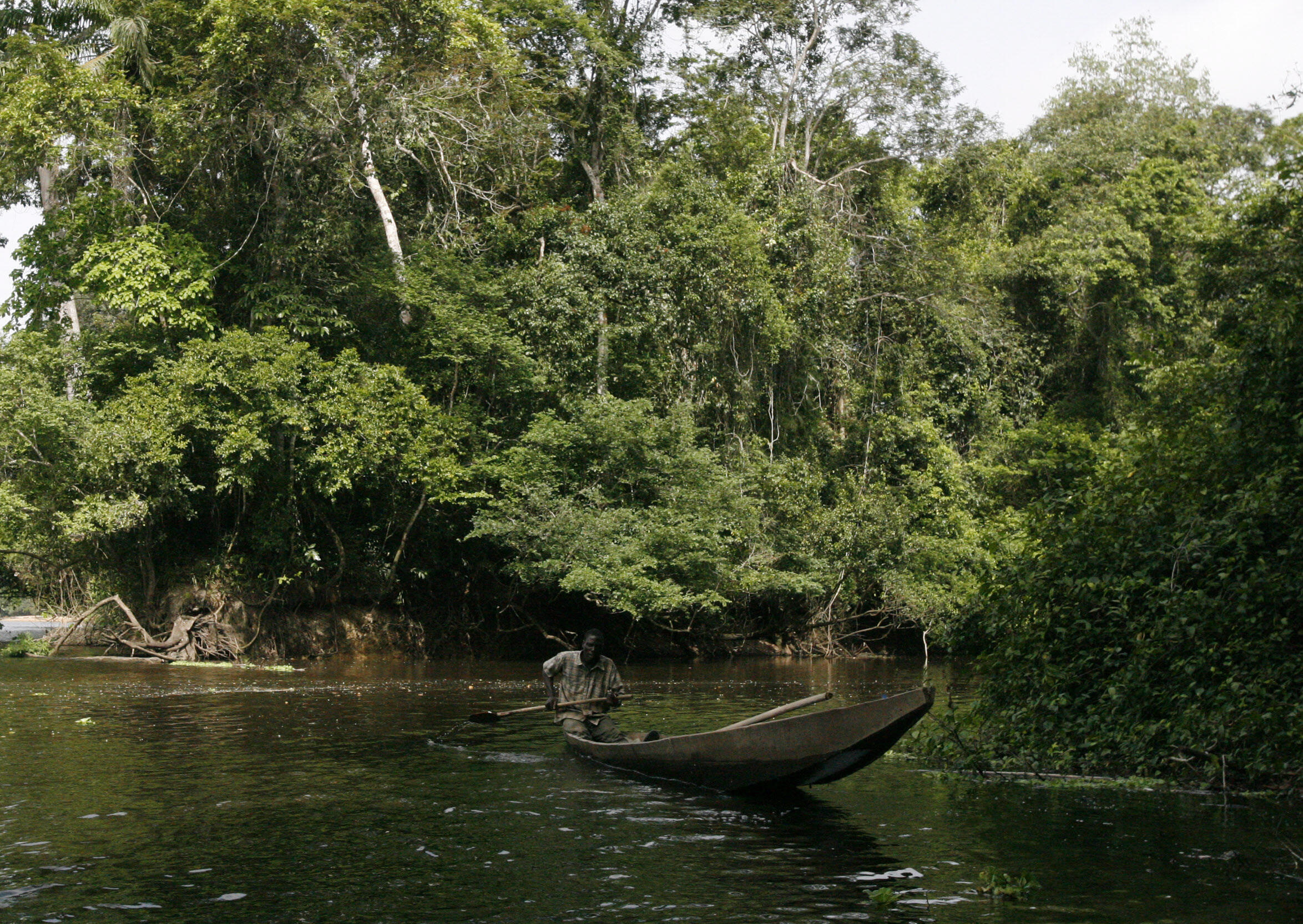 Côte d’Ivoire: près de 185 cas de contamination liés à la pollution d'une mine d’or